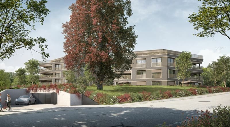 Neubauprojekt Buchenpark: 5.5-Zimmer-Gartenwohnung! (5)