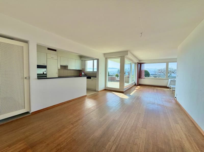4.5-Zimmer-Terrassenwohnung mit herrlichen Aussenflächen und traumhafter Weitsicht! (4)