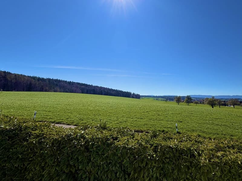 6.5-Zimmer-Doppeleinfamilienhaus: Wo wertvolle Lebensqualität ein sicheres Zuhause erhält! (12)