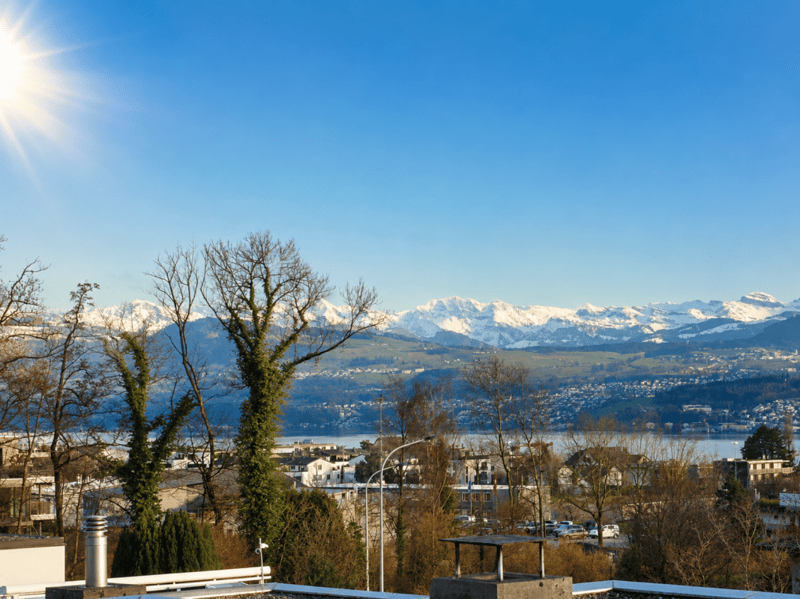 4.5-Zimmer-Terrassenhaus mit 180-Grad See- und Weitsicht! (1)