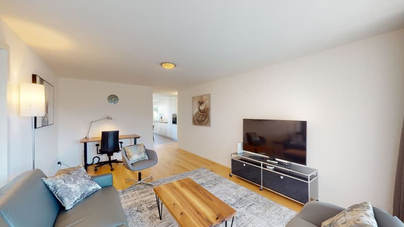 modern living room, blue couch, wooden desk, swivel chair, television, floor lamp