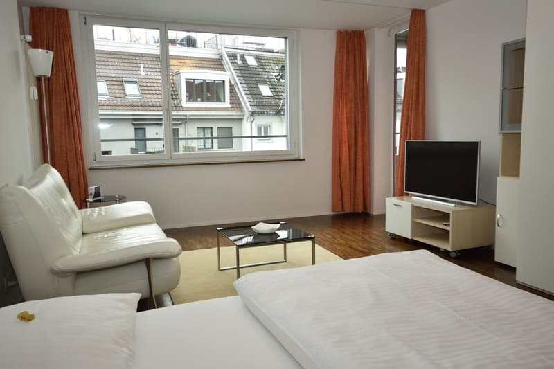 Charming 1.5-Room Furnished Apartment with Balcony in Zürich's Seefeld District (2)