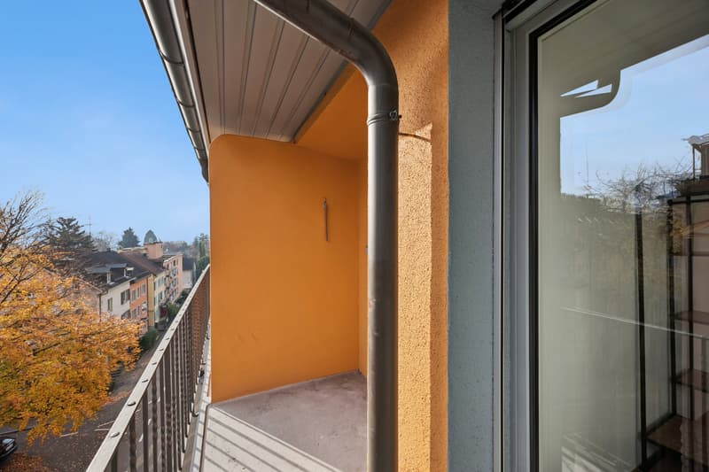 Cozy Furnished Studio in Central Zürich (11)