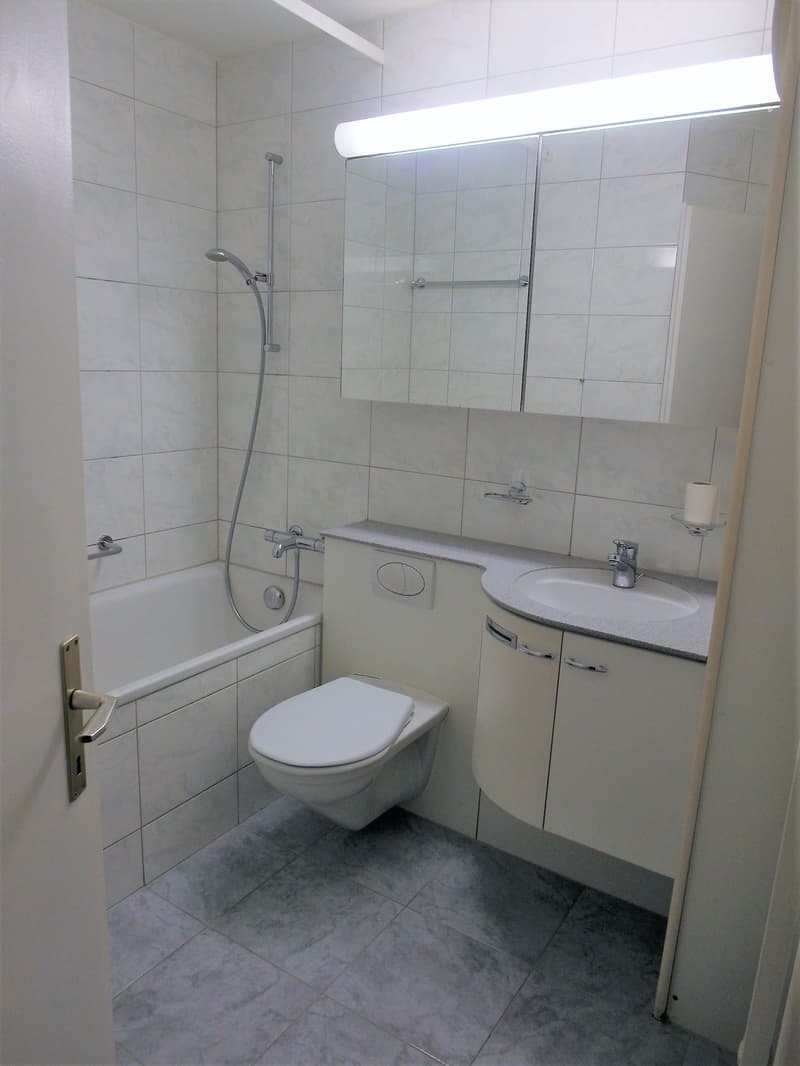 4.5-Zimmerwohnung im Hochparterre (3)