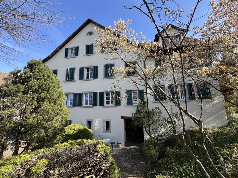 Vollvermietetes Mehrfamilienhaus in Herrliberg (2)