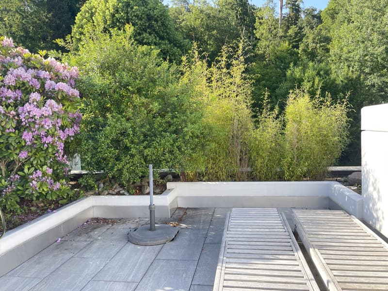 Dachterrasse