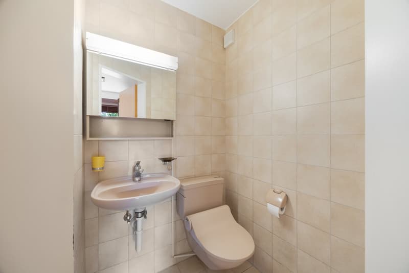 Gäste WC EG