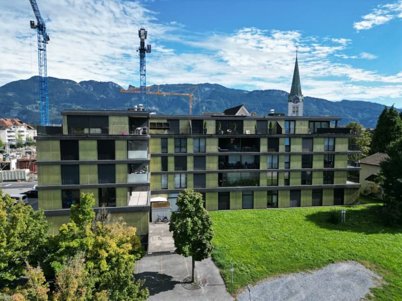 Appartement 4.5 pièces au cœur de Diepoldsau (12)