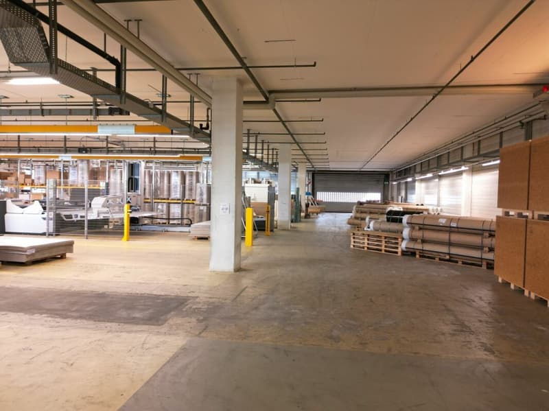 3'763m2 - High-quality storage, logistics or production spaces (10)