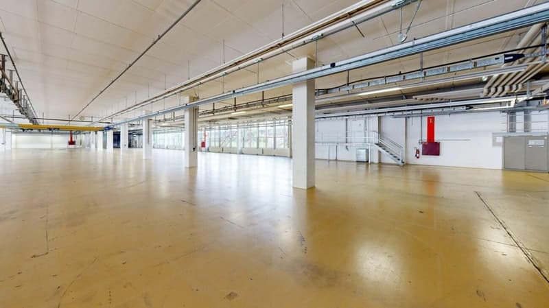 3'763m2 - Erstklassige Lager-, Logistik- oder Produktionsflächen (7)
