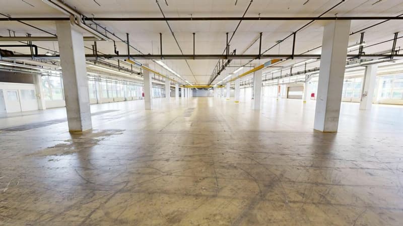 3'763m2 - Erstklassige Lager-, Logistik- oder Produktionsflächen (10)