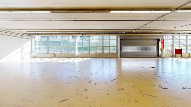 3'763m2 - Erstklassige Lager-, Logistik- oder Produktionsflächen (6)