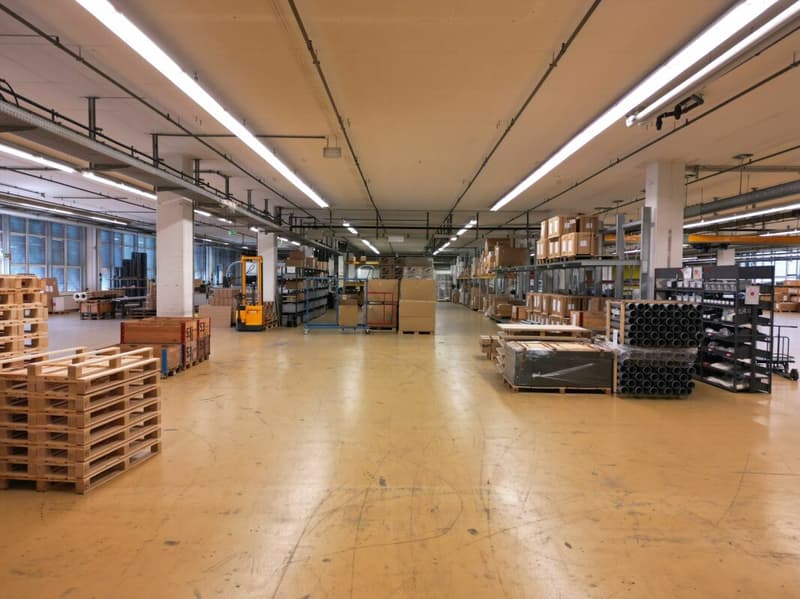 3'763m2 - High-quality storage, logistics or production spaces (6)