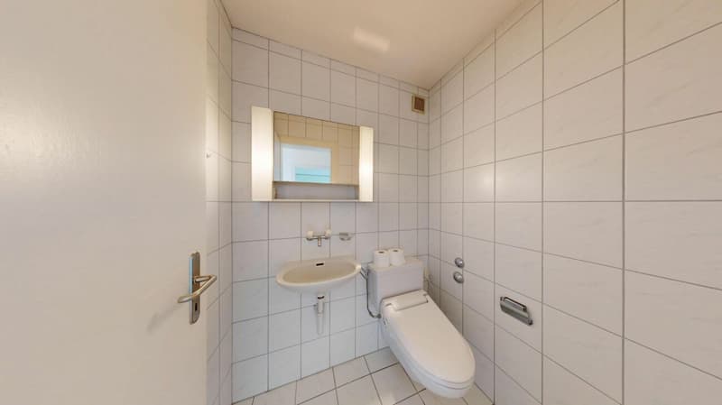 Attraktive 4.5 Zimmer-Dachwohnung mit Weitblick (10)