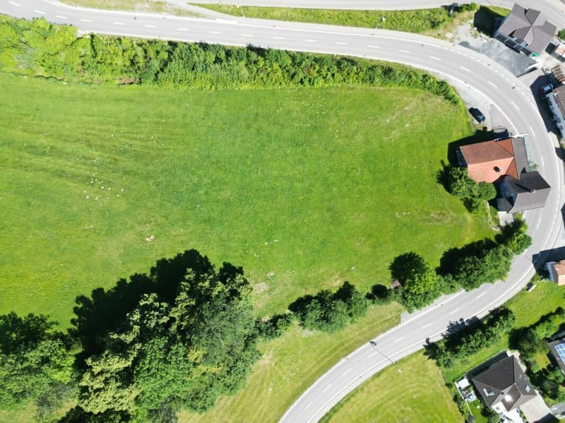 Bauland "Wilen", Walzenhausen (10)