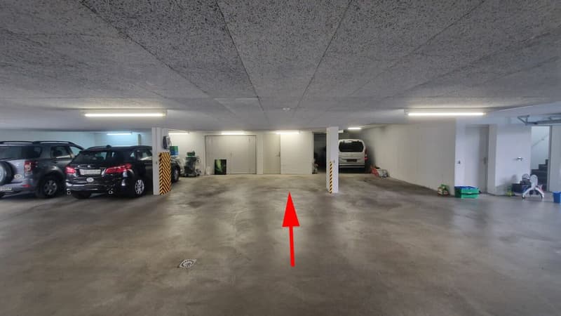 Loft-Wohnung, Birkenstrasse 49, Widnau (13)