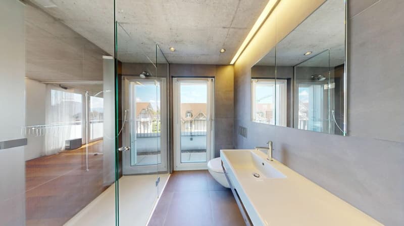 Loft-Wohnung, Birkenstrasse 49, Widnau (12)
