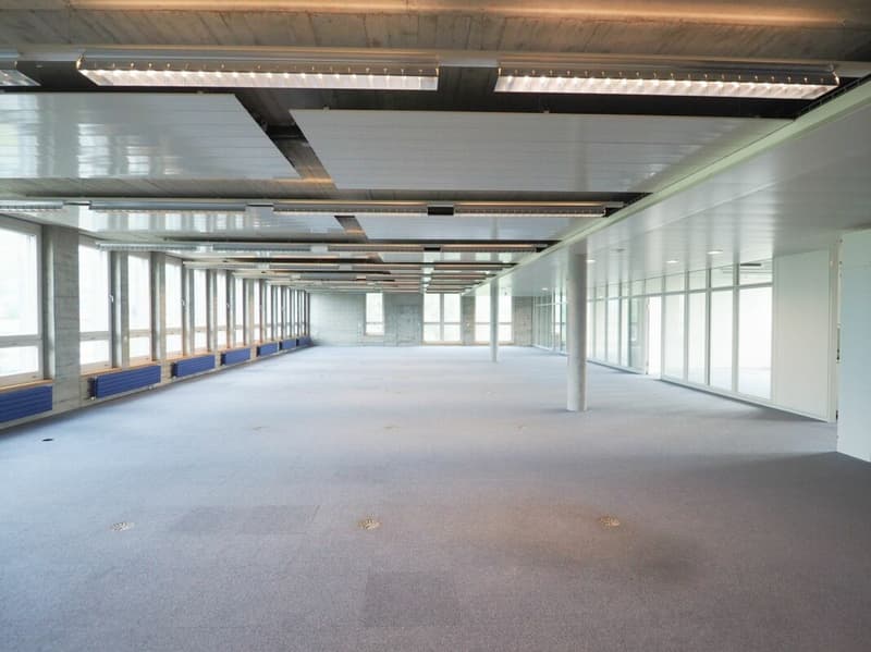 Erstklassige Bürofläche mit 392 m² in repräsentativer Gewerbeliegenschaft (2)