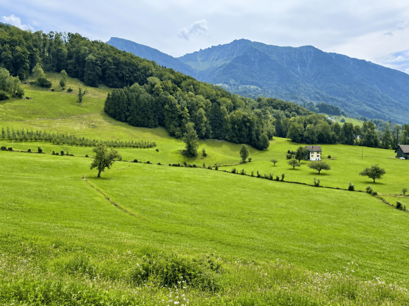 Aussicht