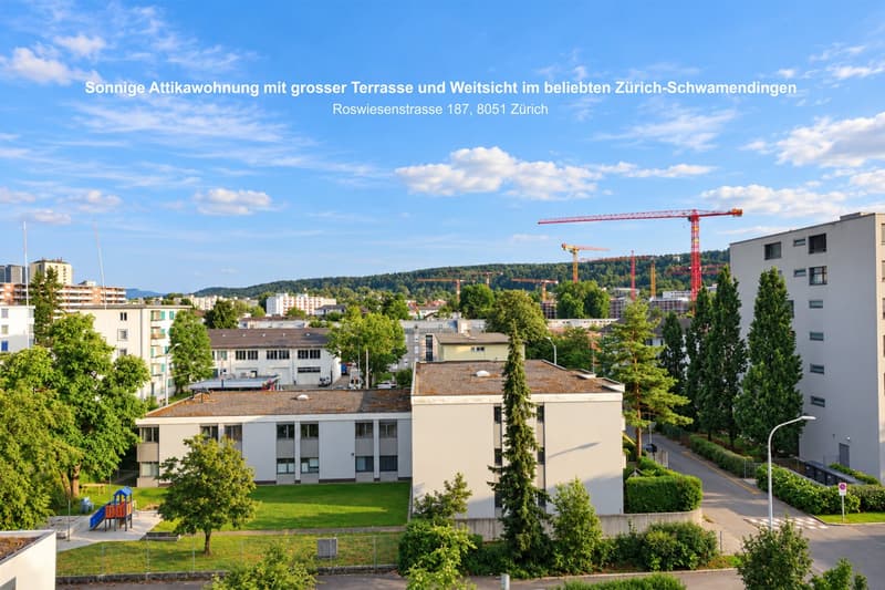 Sonnige Attikawohnung mit grosser Terrasse und Weitsicht im beliebten Zürich-Schwamendingen (1)