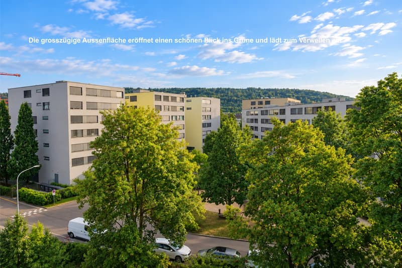 Sonnige Attikawohnung mit grosser Terrasse und Weitsicht im beliebten Zürich-Schwamendingen (4)