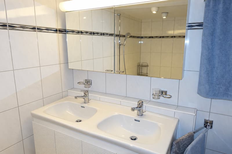 Wohn-/Geschäftshaus respektive Bauland für Neubauprojekt an zentraler, begehrter Lage (12)