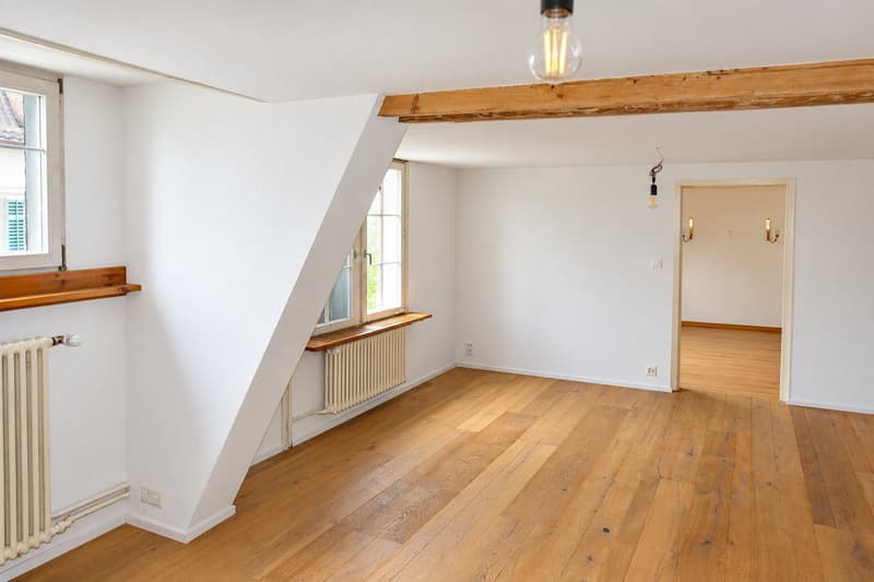 Wohn-/Geschäftshaus respektive Bauland für Neubauprojekt an zentraler, begehrter Lage (13)