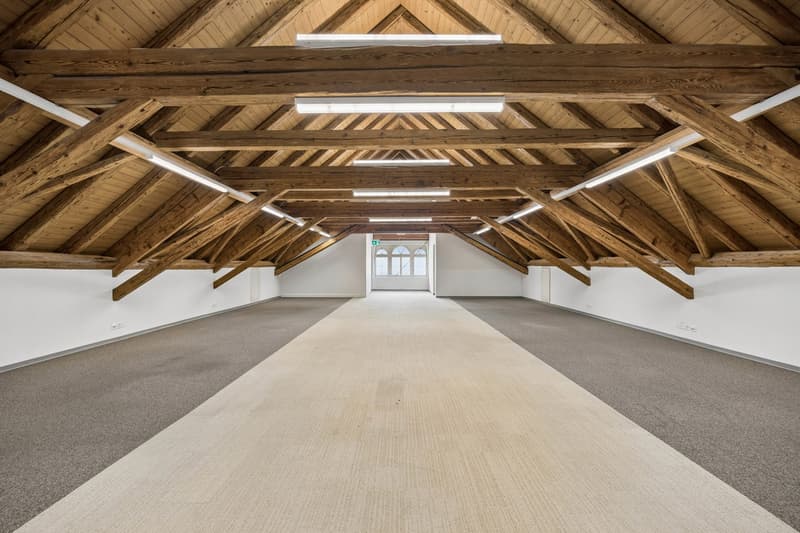 Raum für Ihre Vision Loftfläche in Niederuster (7)