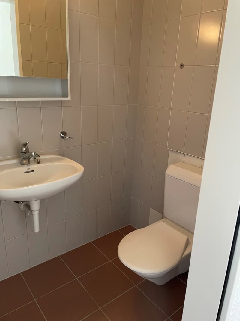 Grosszügige 4.5-Zimmerwohnung an familienfreundlicher Lage (9)