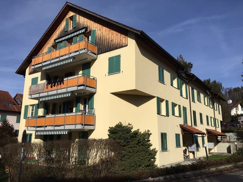 Grosszügige 4.5-Zimmerwohnung an familienfreundlicher Lage (1)