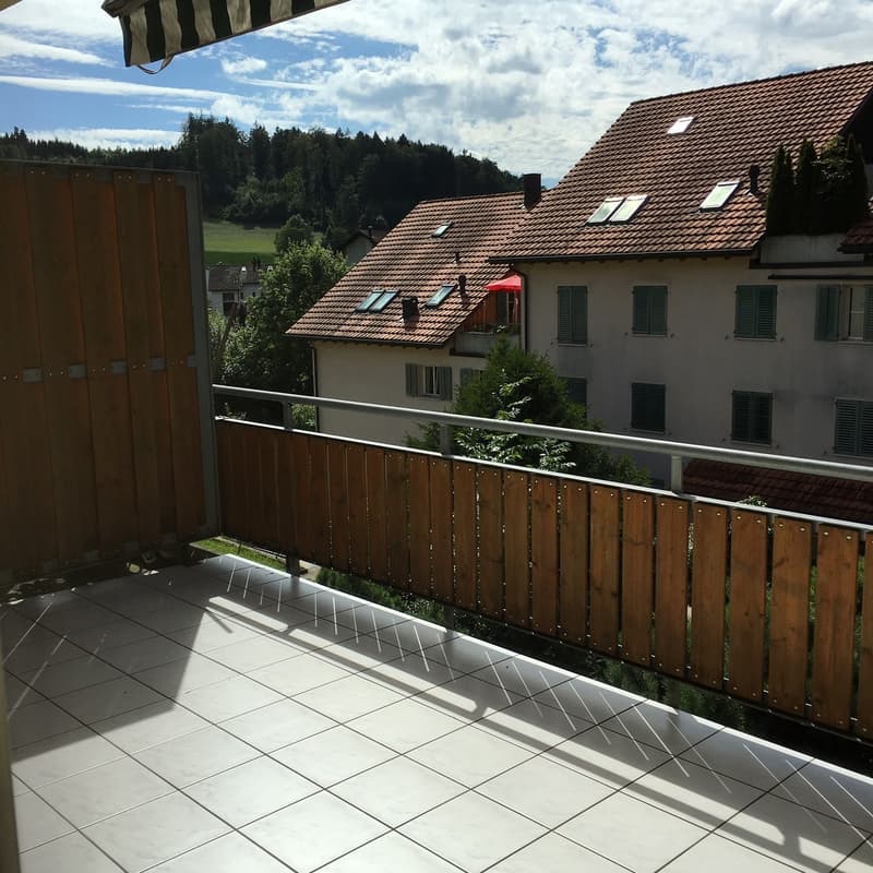 Grosszügige 4.5-Zimmerwohnung an familienfreundlicher Lage (10)