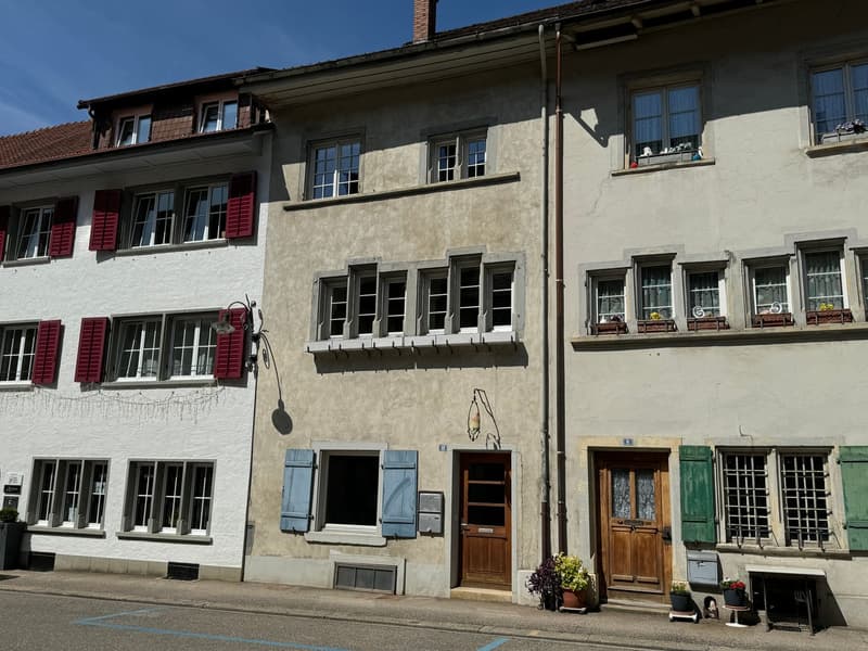 three story apartment building, red and blue shutters, chimney, window boxes, potted plants
