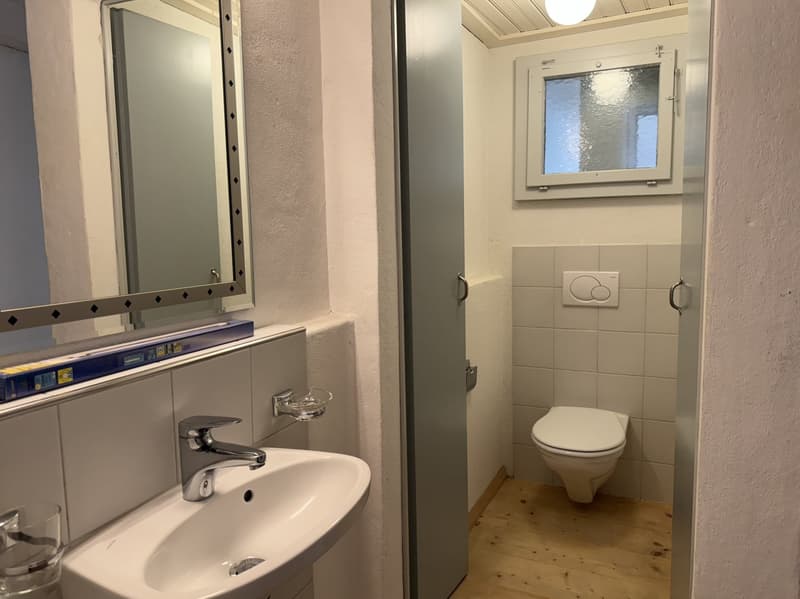 small bathroom with sink, mirror, toilet, and small window