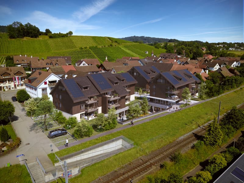 Vogelperspektive_Dachsen (1)-1-1