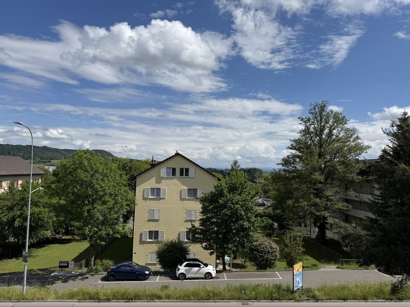 Grosszügige 3.5-Zimmer-Wohnung mit Balkon und Autoeinstellplatz in Neuhausen am Rheinfall (12)