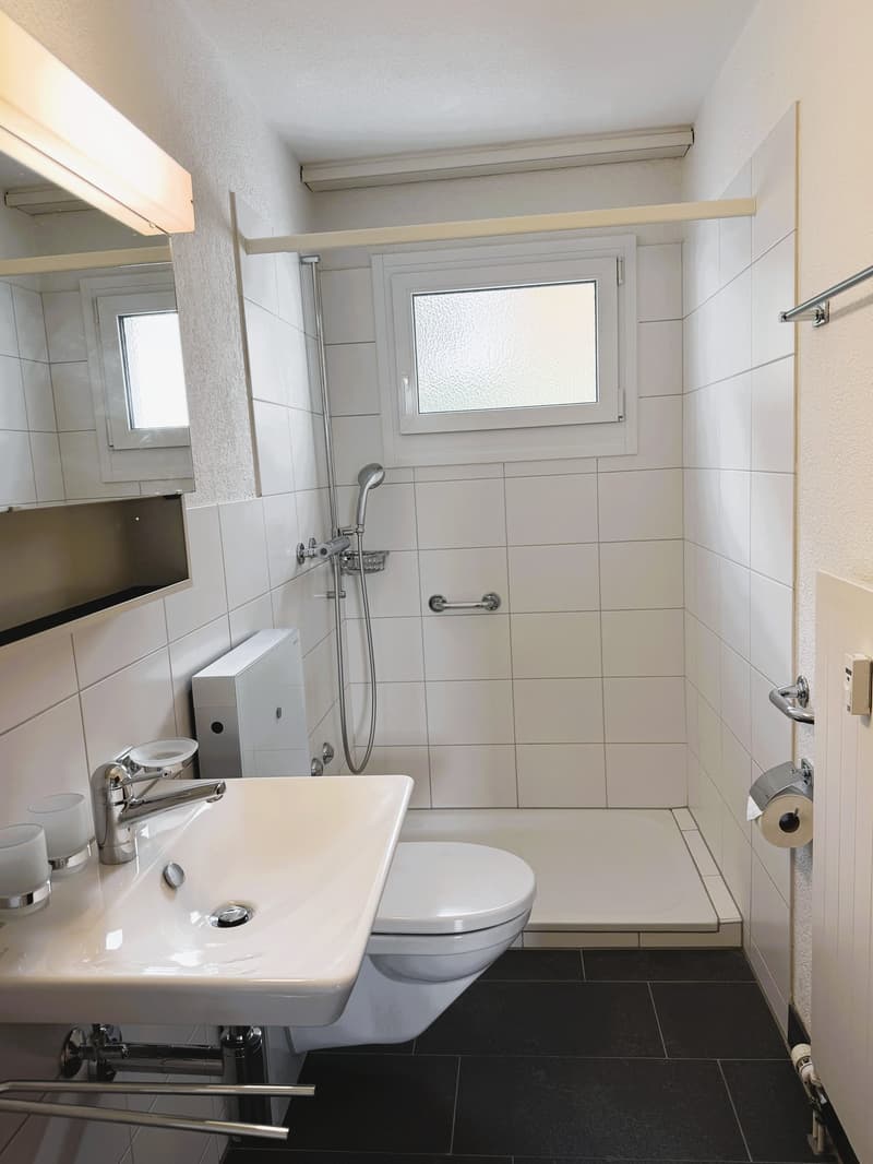 Grosszügige 3.5-Zimmer-Wohnung mit Balkon und Autoeinstellplatz in Neuhausen am Rheinfall (7)