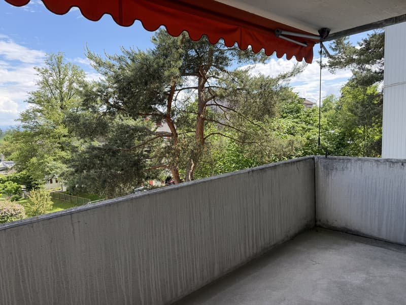 Grosszügige 3.5-Zimmer-Wohnung mit Balkon und Autoeinstellplatz in Neuhausen am Rheinfall (11)