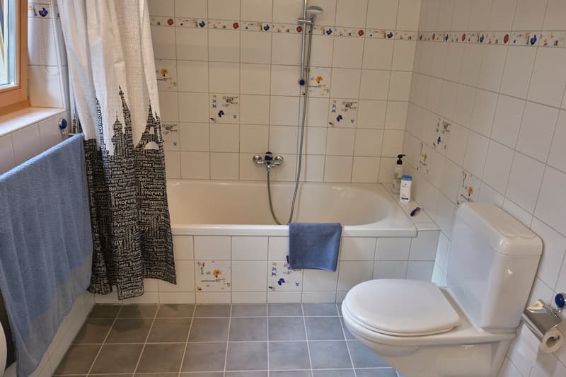 Charmantes, gepflegtes 7.5-Zimmer-Einfamilienhaus, freistehend, an ruhiger, schöner Lage in Rafz (14)