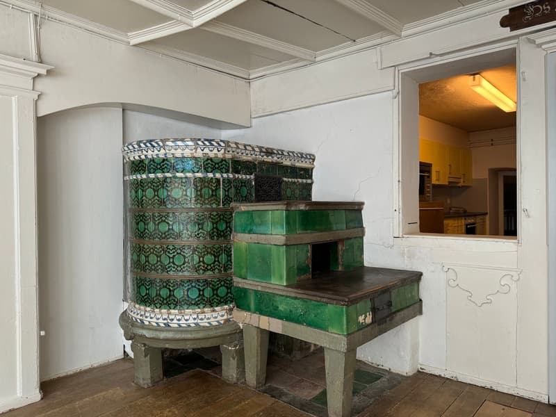 7.5-Zimmer-Stadthaus, mit historischen Details und vielen Nutzungsmöglichkeiten (4)