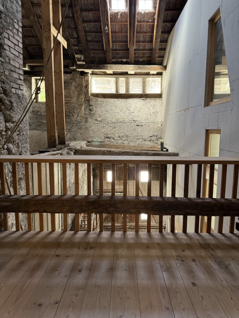 7.5-Zimmer-Stadthaus, mit historischen Details und vielen Nutzungsmöglichkeiten (10)
