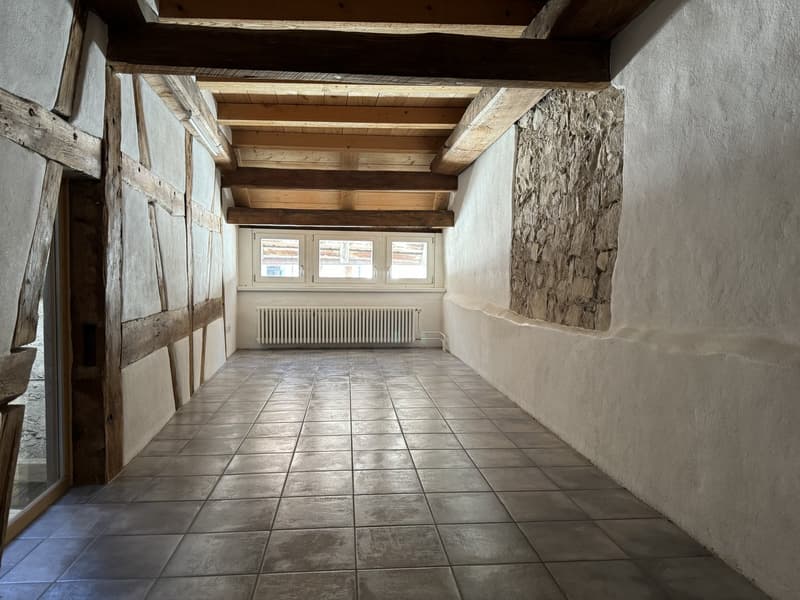 7.5-Zimmer-Stadthaus, mit historischen Details und vielen Nutzungsmöglichkeiten (9)