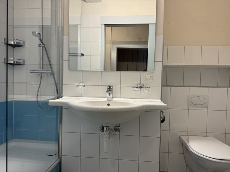 7.5-Zimmer-Stadthaus, mit historischen Details und vielen Nutzungsmöglichkeiten (11)