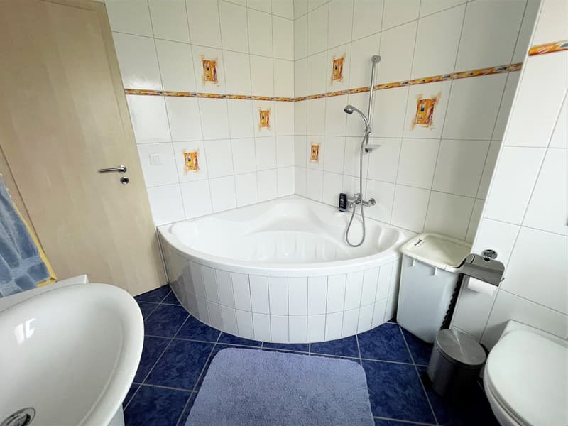 Zentrale Wohnung mit Eigentumsstandard (12)