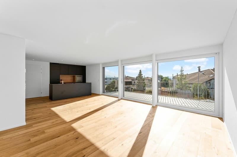 Hinblick Hinwil - Stilvolle Wohnung in ruhiger Umgebung (5)