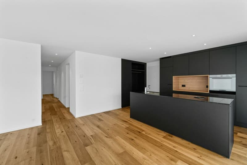 Hinblick Hinwil - Stilvolle Wohnung in ruhiger Umgebung (3)