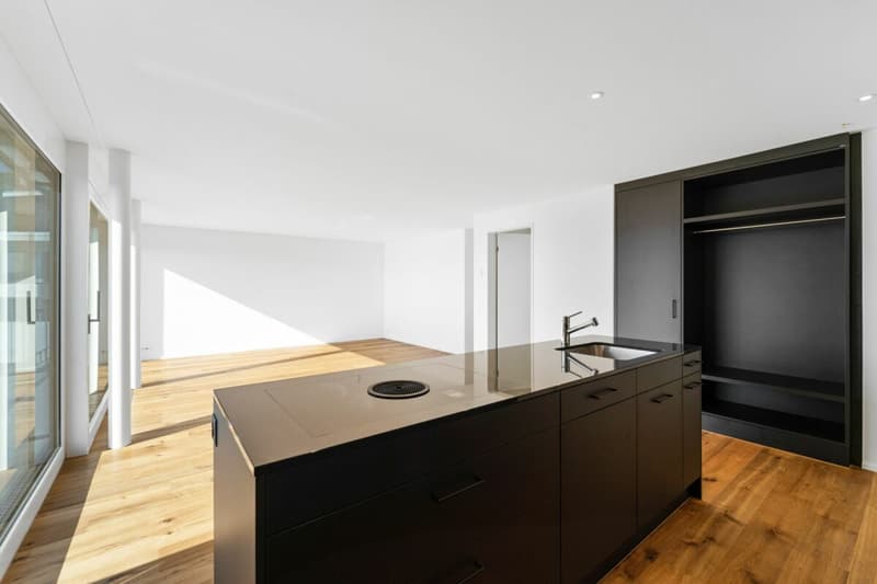 Hinblick Hinwil - Stilvolle Wohnung in ruhiger Umgebung (5)