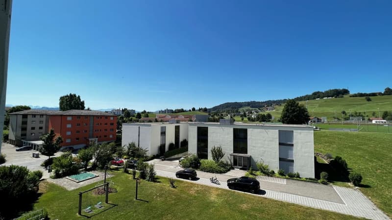charmante 3.5 Zi.-Dachwohnung mit sonnigem Balkon (6)