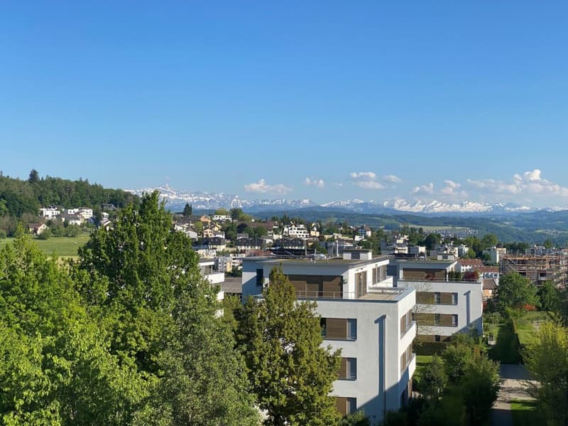 attraktive 4.5 Zi.-Parterre-Wohnung am Hofberg (5)