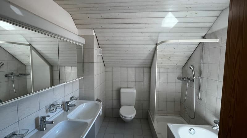 charmante 3.5 Zi.-Dachwohnung mit Blick ins Grüne (4)