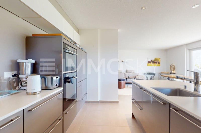 Cuisine moderne